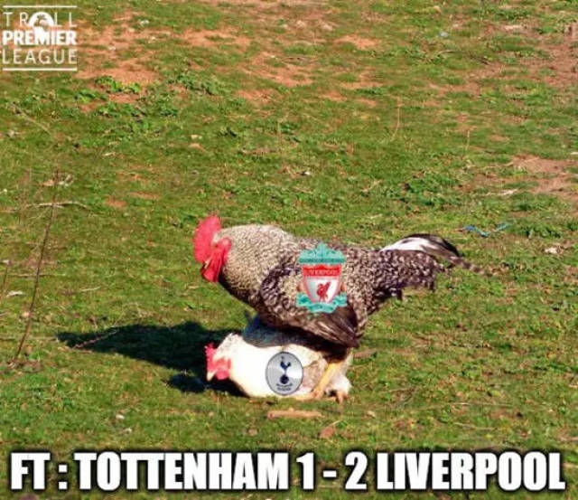 LPL逃兵也是英雄！WE奇迹未能延续，上单获得尊重：他已经尽力了